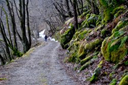 29.04.2013: Der Winter verlässt die Landschaft