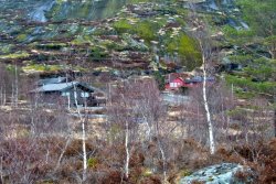 Ausflug zum Wasserfall nach Screlia -hier die Fjellandschaft