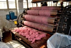 Die Schafswolle wird wird zum Spinnen vorbereitet