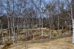 Im Sommer ein beliebter Platz für ein Picknick