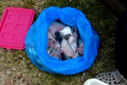 Das hat sich gelohnt!